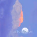 Avatar of Saira Mirza